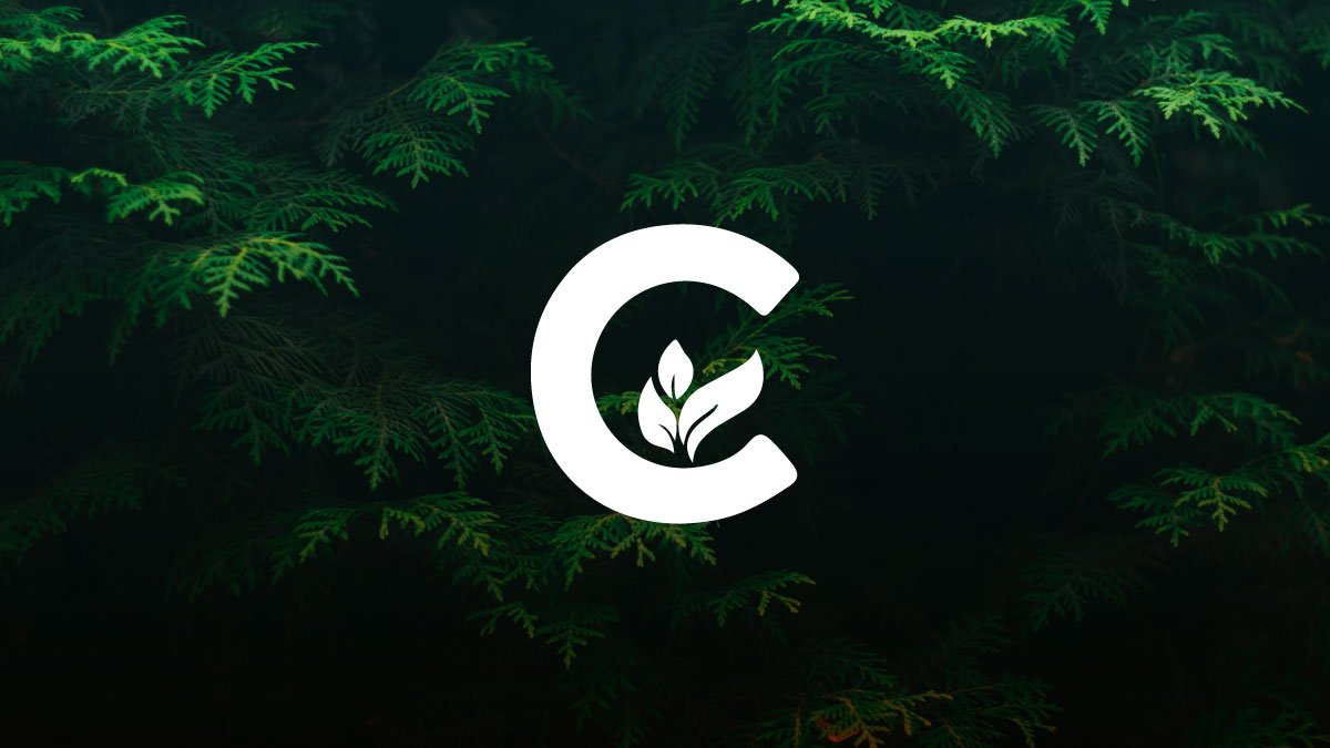 Curial impulsa la economía circular desde el diseño